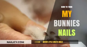 Trimming Your Bunny's Nails: A Step-by-Step Guide