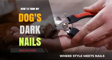 Trimming Dark Nails: A Guide for Dog Owners