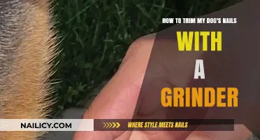 Trimming Dog Nails: Using a Grinder Safely and Effectively