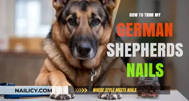 Trimming Your German Shepherd's Nails: A Step-by-Step Guide