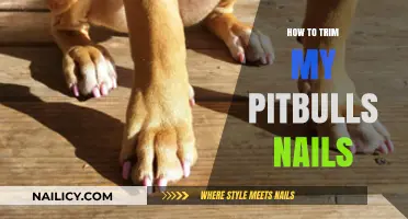 Trimming Your Pitbull's Nails: A Step-by-Step Guide