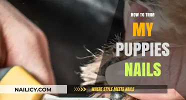 Trimming Your Puppy's Nails: A Step-by-Step Guide