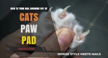 Trimming Nails Growing Out of Cat Paw Pads