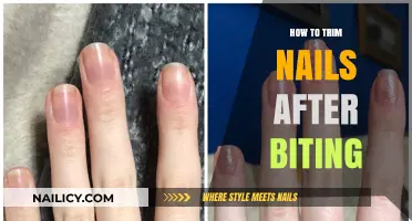 Trimming Nails Post-Biting: A Step-by-Step Guide
