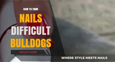 Trimming Your Bulldog's Nails: A Step-by-Step Guide