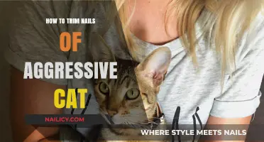 Trimming an Aggressive Cat's Nails: A Step-by-Step Guide