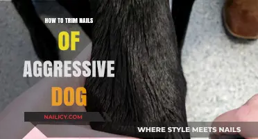 Calmly Trim Your Aggressive Dog's Nails: A Step-by-Step Guide