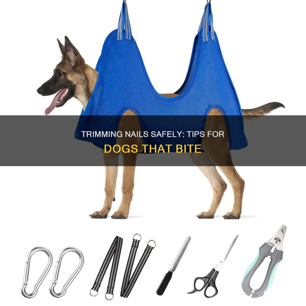 how to trim nails on a dog that bites