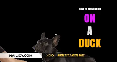 Trimming Duck Nails: A Step-by-Step Guide