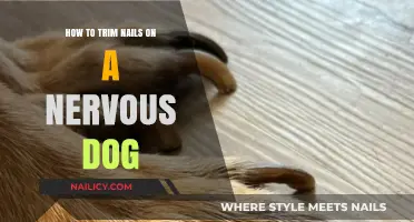 Calmly Clipping: Trimming Nails on Anxious Dogs