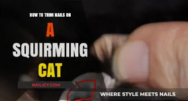 Trimming Your Cat's Nails: A Step-by-Step Guide for Squirmers