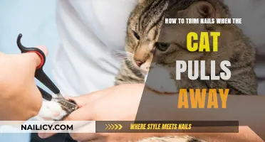 Trimming Cat Nails: Strategies to Keep Your Cat Calm