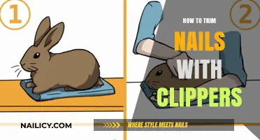 Trimming Nails: Mastering the Clipper Technique