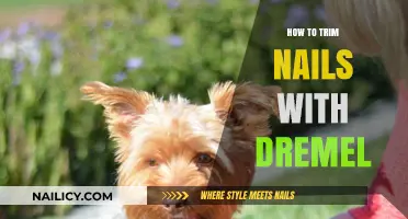 Trimming Pet Nails: Using a Dremel Safely and Efficiently