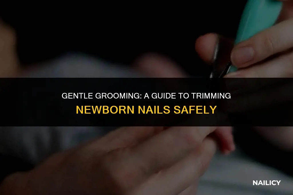how to trim newborn baby nails using clippers