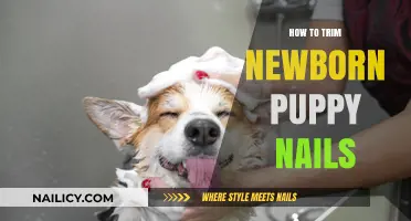 Trimming Your Newborn Puppy's Nails: A Step-by-Step Guide