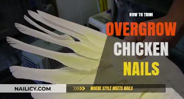 Trimming Overgrown Chicken Nails: A Step-by-Step Guide