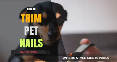 Trimming Your Pet's Nails: A Step-by-Step Guide