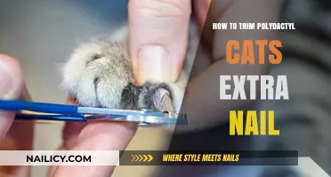 Trimming Your Polydactyl Cat's Extra Nails: A Step-by-Step Guide