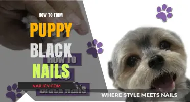 Trimming Black Nails: A Guide for Puppy Owners