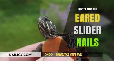 Trimming Your Red-Eared Slider's Nails: A Step-by-Step Guide