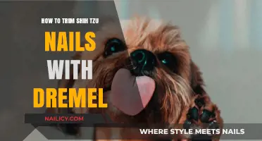 Trimming Your Shih Tzu's Nails: Dremel Tool Tips and Tricks