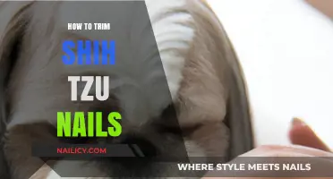Trimming Your Shih Tzu's Nails: A Step-by-Step Guide