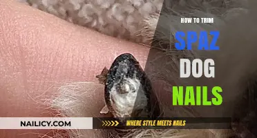 Calmly Trim Your Dog's Nails: A Step-by-Step Guide