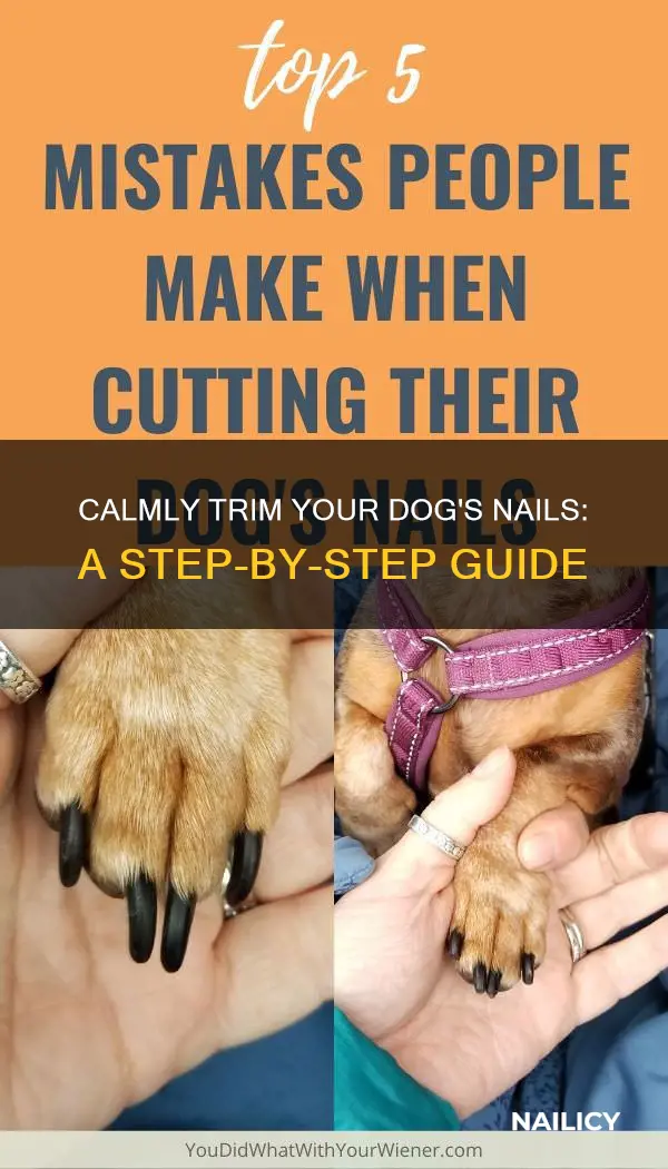 how to trim spaz dog nails