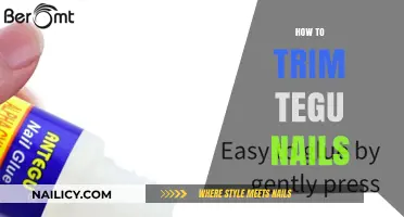 Trimming Tegu Nails: A Step-by-Step Guide for Owners