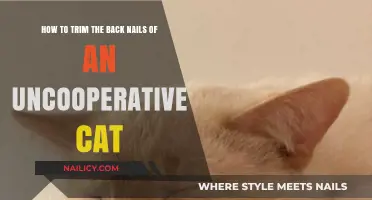 Trimming Cat Claws: Strategies for Uncooperative Felines