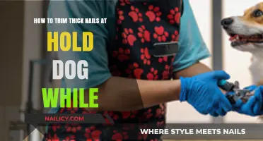 Trimming Your Dog's Thick Nails: A Safe and Easy Guide