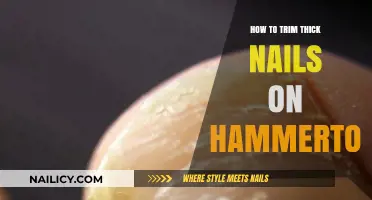 Trimming Thick Nails on Hammertoes: A Step-by-Step Guide