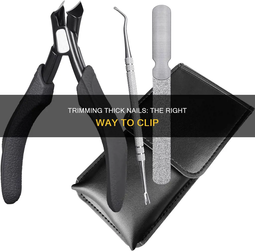how to trim thick nails