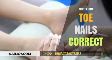 Trimming Toenails: The Right Way to Cut and Care