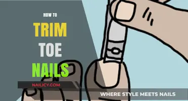 Trimming Toenails: A Step-by-Step Guide for Healthy Feet