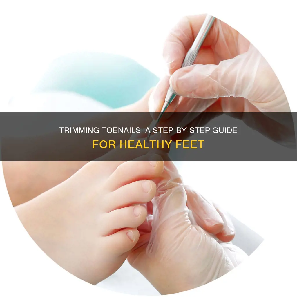 how to trim toe nails