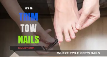 Trimming Dog Nails: The Safe and Easy Way