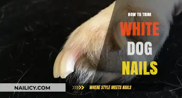Trimming White Dog Nails: A Step-by-Step Guide