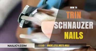 Mastering Schnauzer Nail Care: A Step-by-Step Guide