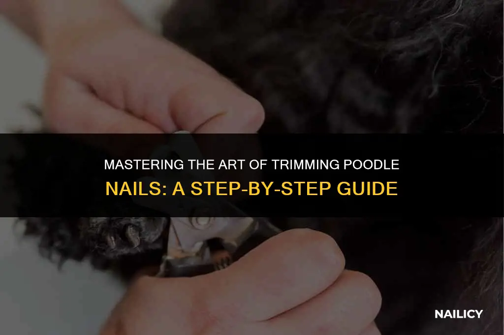 how to tripm poodle nails