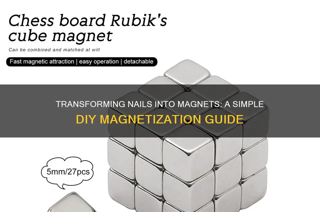 how to turn a nail into a magnet