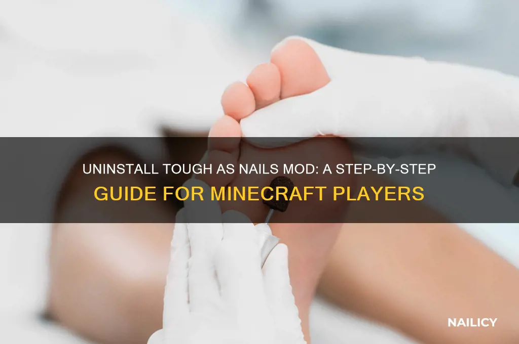 how to uninstall tough as nails mod