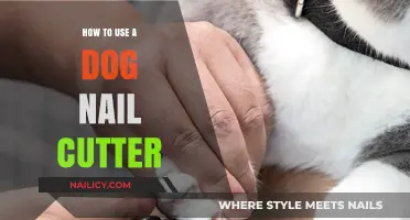 Mastering the Art of Safe Dog Nail Trimming: A Step-by-Step Guide