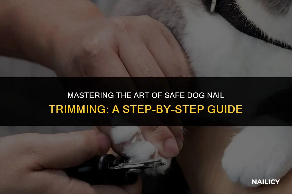 how to use a dog nail cutter