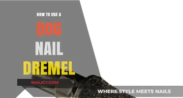 Mastering the Art of Dog Nail Care with a Dremel