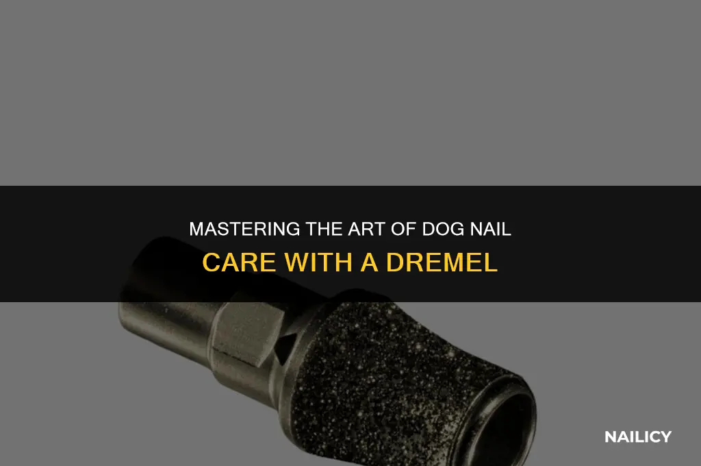 how to use a dog nail dremel