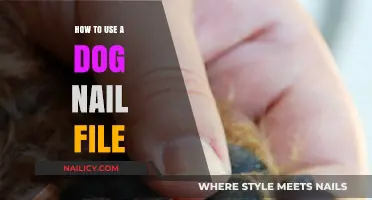 Mastering the Art of Dog Nail Filing: A Step-by-Step Guide
