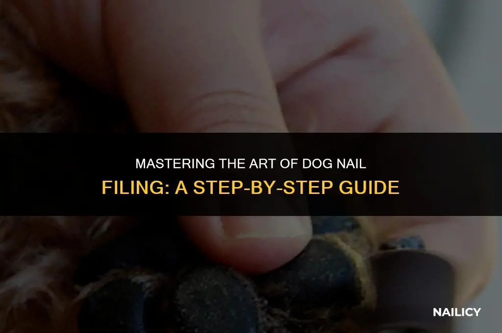 how to use a dog nail file