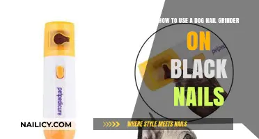 Safely Grinding Your Dog's Black Nails: A Step-by-Step Guide